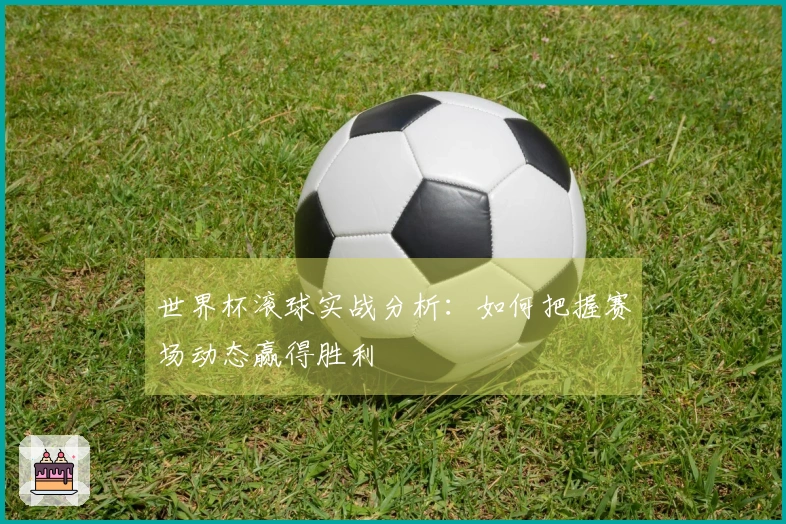 世界杯滚球实战分析：如何把握赛场动态赢得胜利