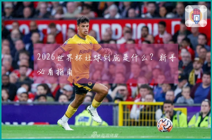 2026世界杯让球到底是什么？新手必看指南