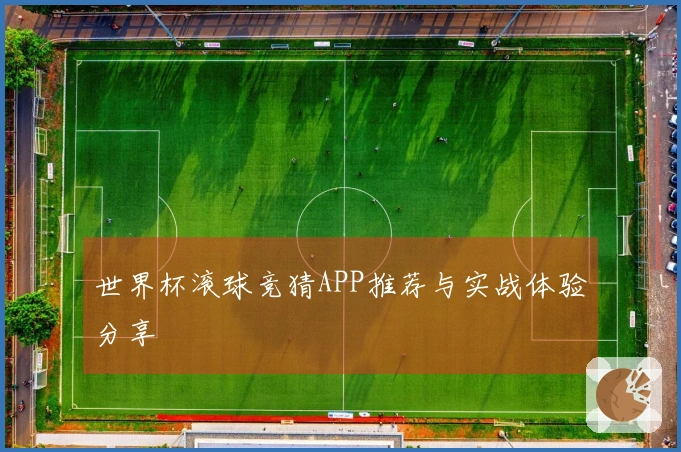 世界杯滚球竞猜APP推荐与实战体验分享