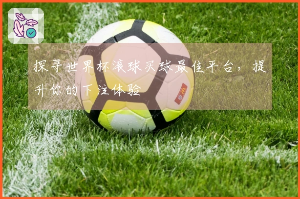 探寻世界杯滚球买球最佳平台，提升你的下注体验