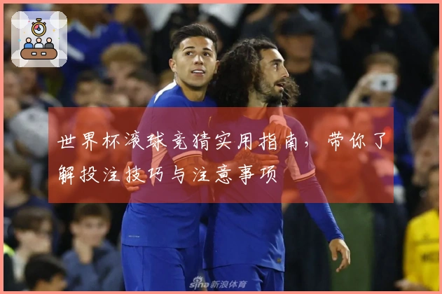世界杯滚球竞猜实用指南，带你了解投注技巧与注意事项